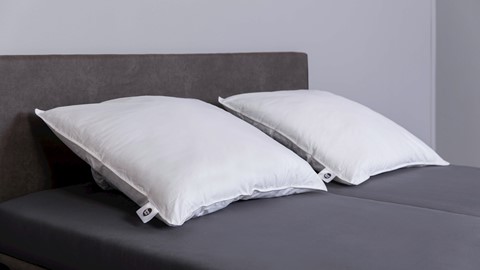 set Recycled Polyester | Beddenreus